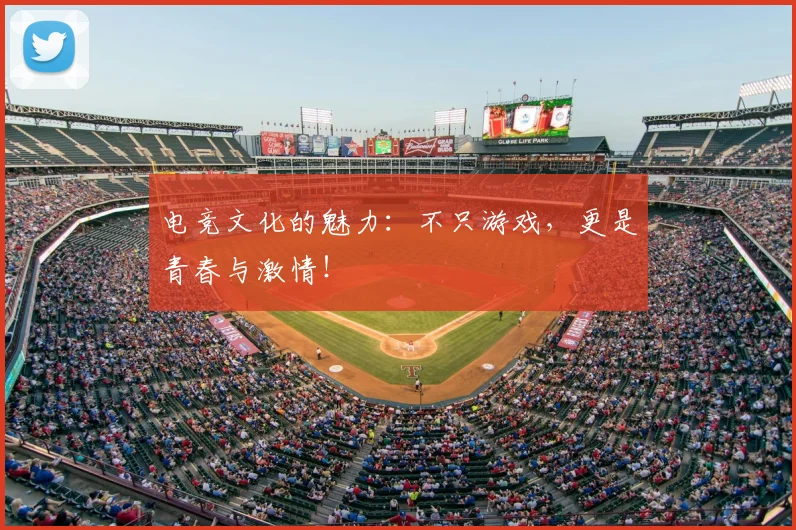 电竞文化的魅力：不只游戏，更是青春与激情！