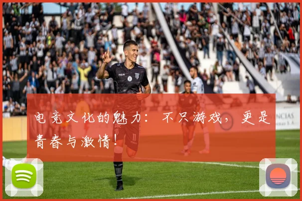 电竞文化的魅力：不只游戏，更是青春与激情！