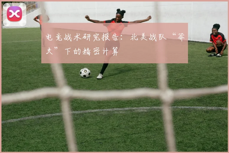 电竞战术研究报告：北美战队“莽夫”下的精密计算